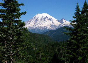 A picture of Mt. Rainier taken between two trees and over large swath of land